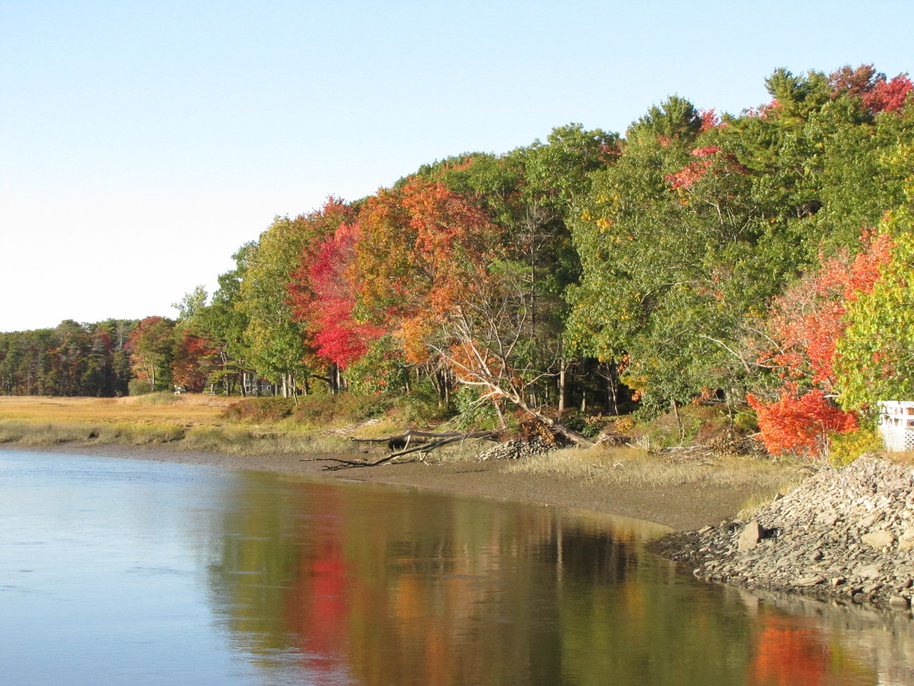 Fall Colors